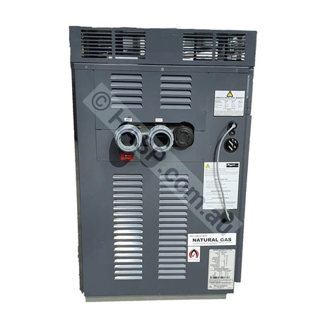 Raypak 430 Gas Pool & Spa Heater