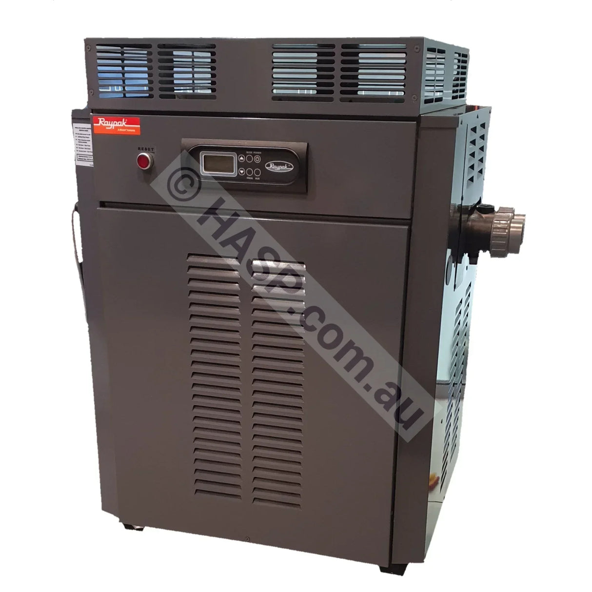 Raypak 430 Gas Pool & Spa Heater
