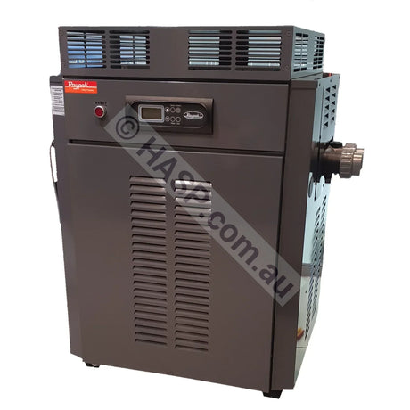 Raypak 430 Gas Pool & Spa Heater