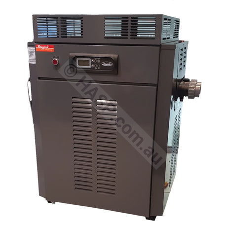 Raypak 430 Gas Pool & Spa Heater