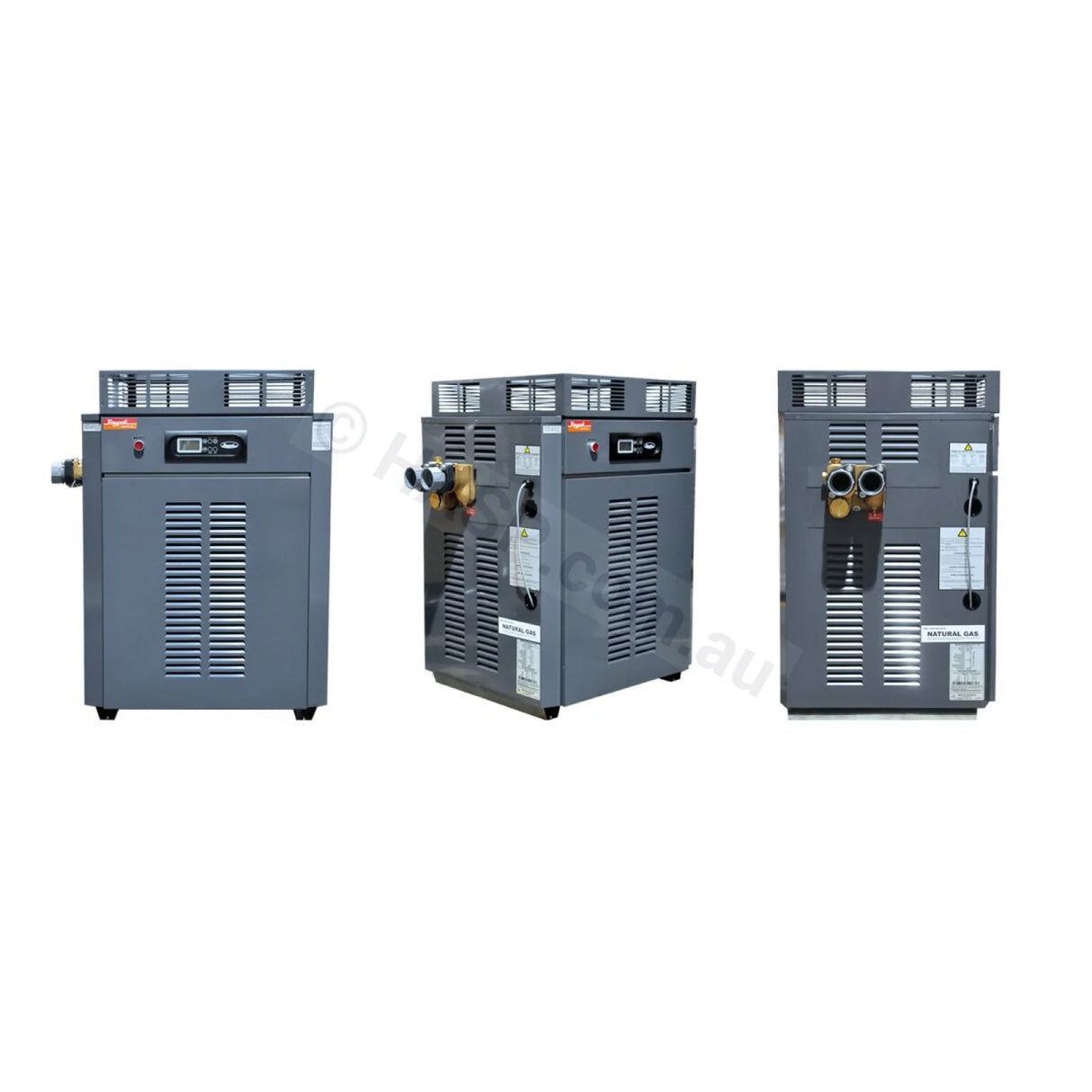 Raypak Premium 430 Gas Pool & Spa Heater - Commercial - Heater and Spa Parts