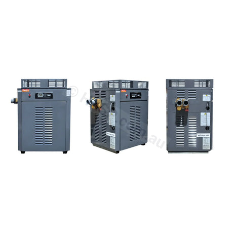 Raypak Premium 430 Gas Pool & Spa Heater - Commercial - Heater and Spa Parts