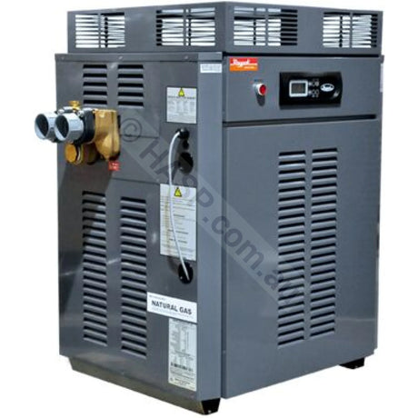 Raypak 430 Premium - Gas Pool & Spa Heater - Commercial Gas Heater