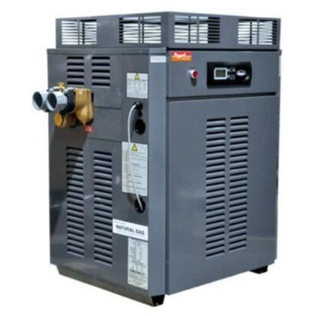 Raypak Premium 430 Gas Pool & Spa Heater - Commercial - Heater and Spa Parts