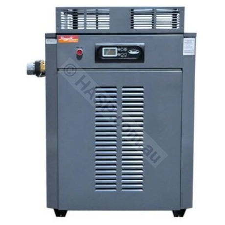 Raypak Premium 430 Gas Pool & Spa Heater - Commercial - Heater and Spa Parts