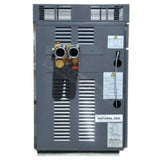 Raypak Premium 430 Gas Pool & Spa Heater - Commercial - Heater and Spa Parts