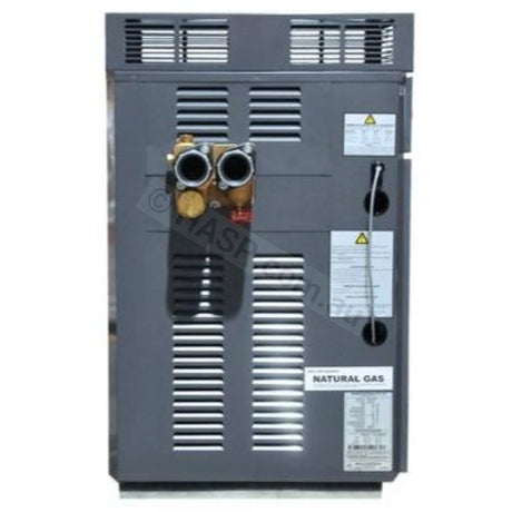 Raypak Premium 430 Gas Pool & Spa Heater - Commercial - Heater and Spa Parts