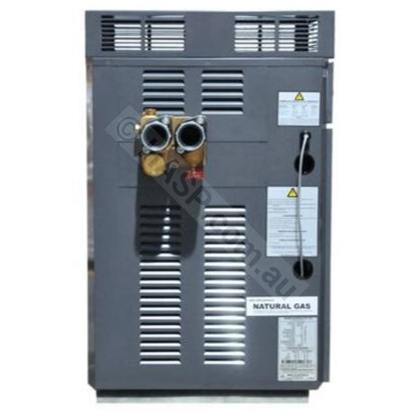 Raypak Premium 430 Gas Pool & Spa Heater - Commercial - Heater and Spa Parts