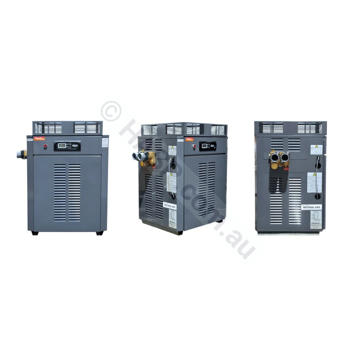 Raypak Premium 430 Gas Pool & Spa Heater - Commercial - Heater and Spa Parts