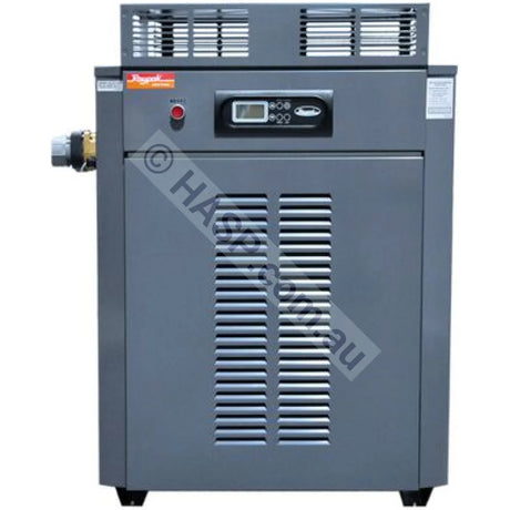 Raypak 430 Premium Gas Pool & Spa Heater