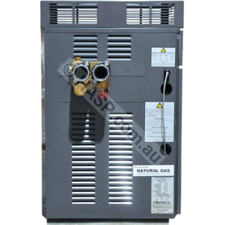 Raypak 430 Premium Gas Pool & Spa Heater