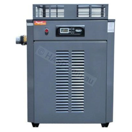 Raypak Premium 430 Gas Pool & Spa Heater - Commercial - Heater and Spa Parts