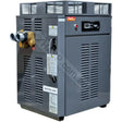 Raypak 430 Premium Gas Pool & Spa Heater