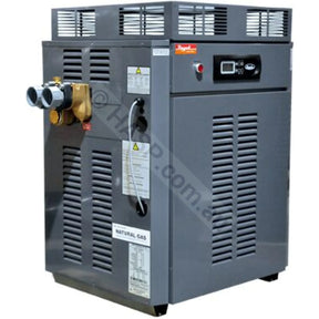 Raypak 430 Premium Gas Pool & Spa Heater
