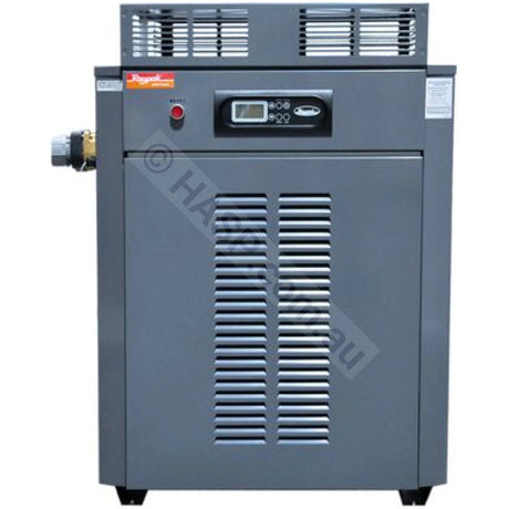 Raypak 430 Premium Gas Pool & Spa Heater