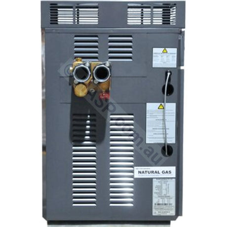 Raypak 430 Premium Gas Pool & Spa Heater