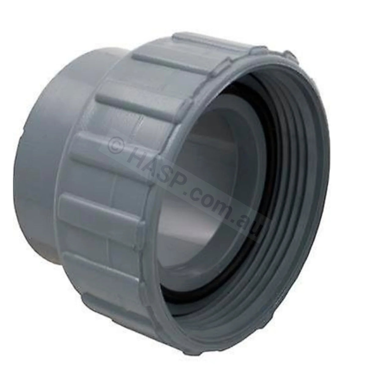 Raypak Heater Barrel Unions - Pipe Connectors - Heater and Spa Parts