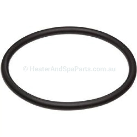 Raypak Heater Barrel Union - O-ring - Heater and Spa Parts