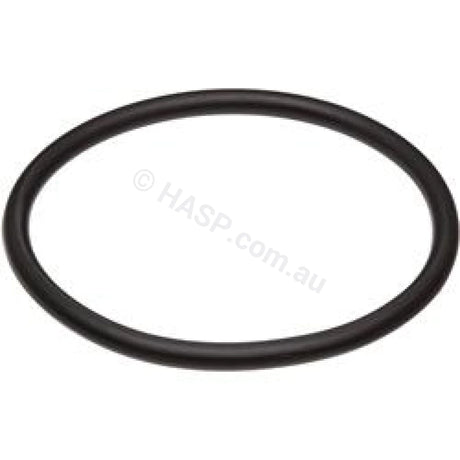 Raypak Heater Barrel Union - O-ring - Heater and Spa Parts