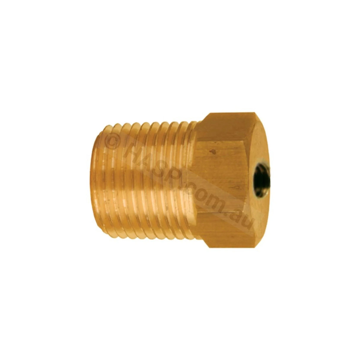 Raypak & Pentair Hi Limit Locator - Brass Plug 1/4" NPT Male to M4 Female Thread - Aftermarket - Heater and Spa Parts