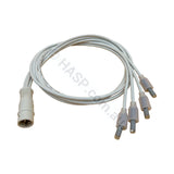 Rising Dragon 4 Wire Quad POL LED Light Cord(Moulded Plug)