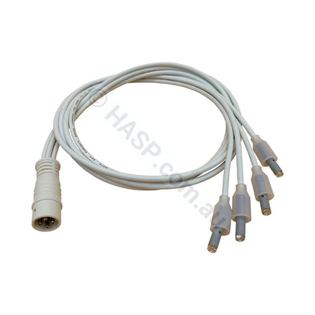 Rising Dragon 4 Wire Quad POL LED Light Cord(Moulded Plug)