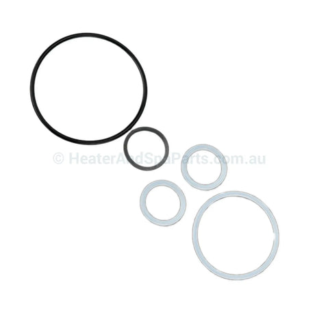 Rising Dragon 50Mm Diverter Seal & O-Ring Kit