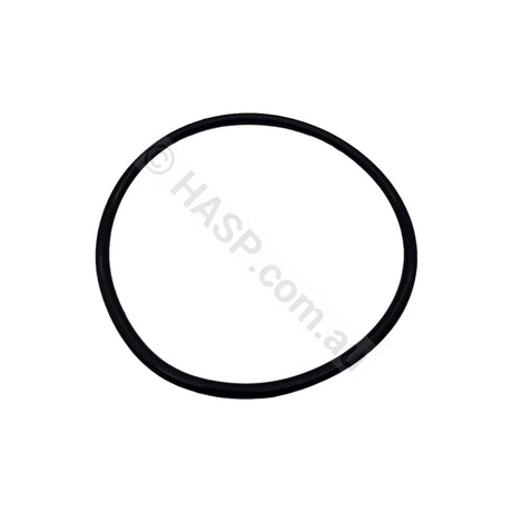 SENSAPOOL SF Pump Body O’ring