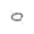 SENSAPOOL SF Pump Impeller Spring Washer