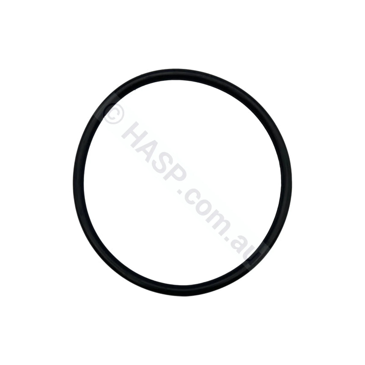 SENSAPOOL SR Pump Lid O-Ring