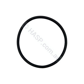 SENSAPOOL SR Pump Lid O-Ring