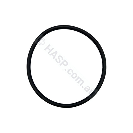 SENSAPOOL SR Pump Lid O-Ring