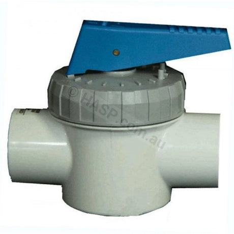 Davey Spaquip Teflon Valve - 50Mm 2-Way