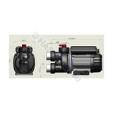 Spa-Craft Edgetec / Decina Triflo 1.0HP Auto-Heat w/ Air Switch - Spa Bath Pump - Pool & Spa