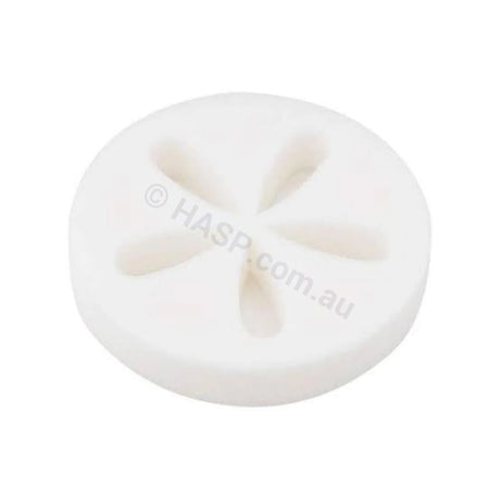 Spa Disk - Oil & Scum Floating Sponge