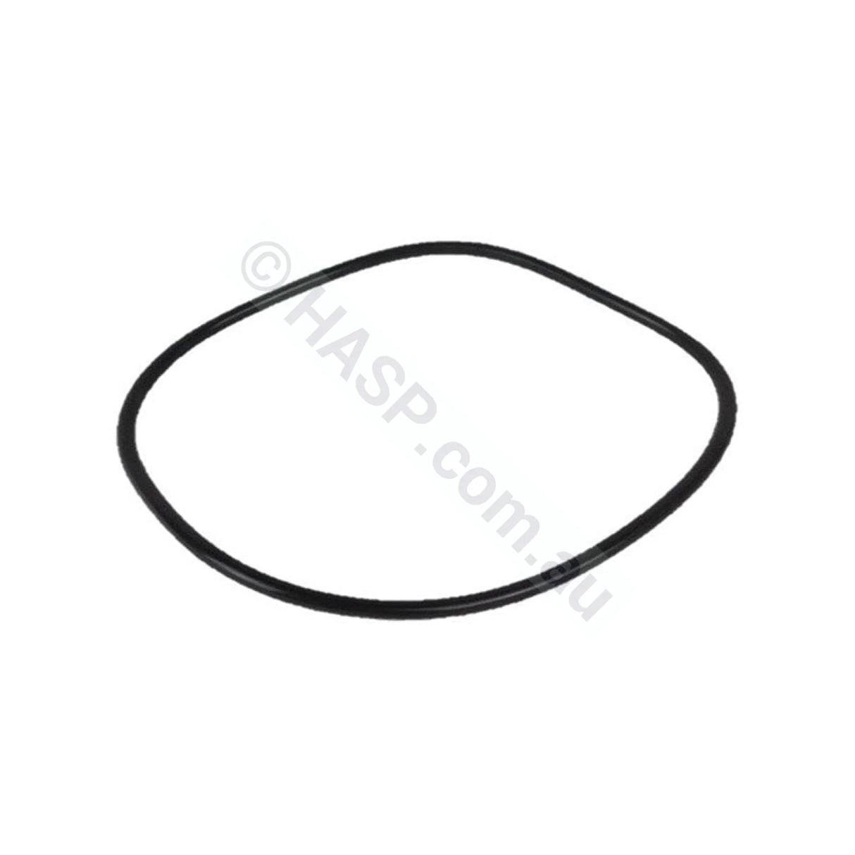 Spa-Quip Compact Series Filter Lid O’ring