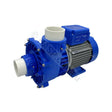 Spanet Smartflo 2.5HP 2-Speed Pump