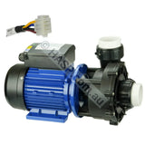 2.5 HP Maxi-flow Two Speed Spa Pump Replacement - Q6888 Q6808 - By Spatex AMP Plug Spa Pump