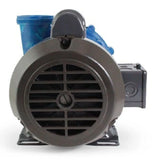 Sundance® Spas .05kw High Flow Circ Pump - Aquaflo CMXP 2" 50mm - SD6500-911 - Heater and Spa Parts