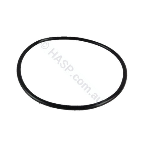 Waterco Filter Lid O’ring