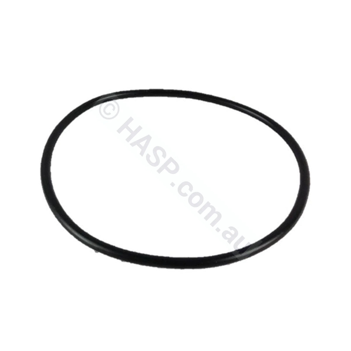 Waterco Filter Lid O’ring