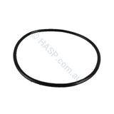 Waterco Filter Lid O’ring