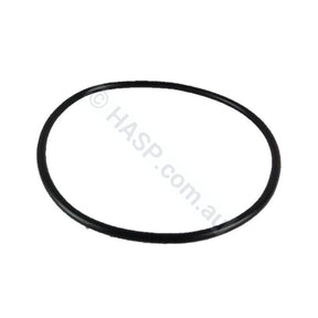 Waterco Filter Lid O’ring