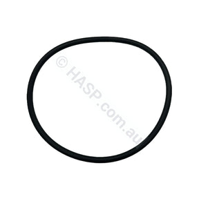 Waterco Hydrostorm Eco Pump Lid O’ring