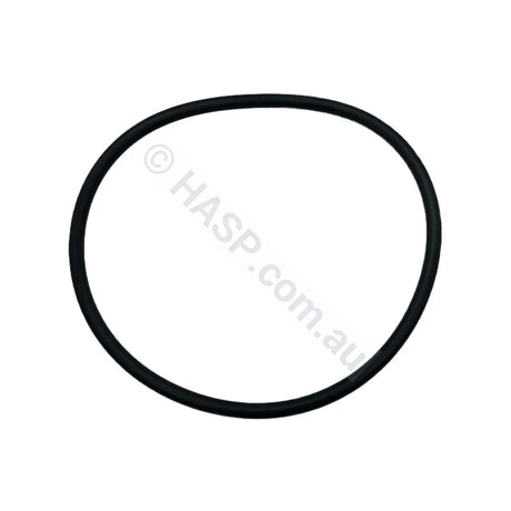 Waterco Hydrostorm Eco Pump Lid O’ring