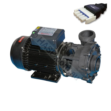 Wp300-Ii Pro 3.0Hp - Lx Whirlpool Two-Speed Jet Booster Pump Overmoulded Amp For Davey/Spanet Pumps