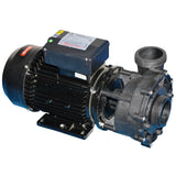 Universal Spa Jet Pump - Two-speed - WP300-II 3.0HP - LX Whirlpool - Heater and Spa Parts