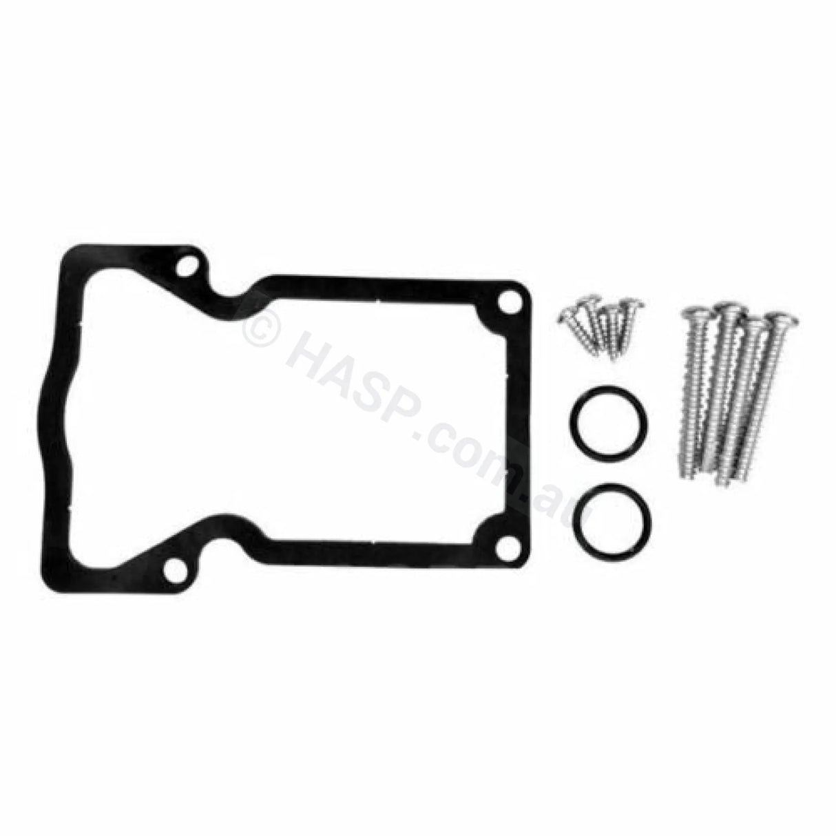 Zodiac Jandy Valve Actuator Gasket & Screw Set Plumbing Fittings