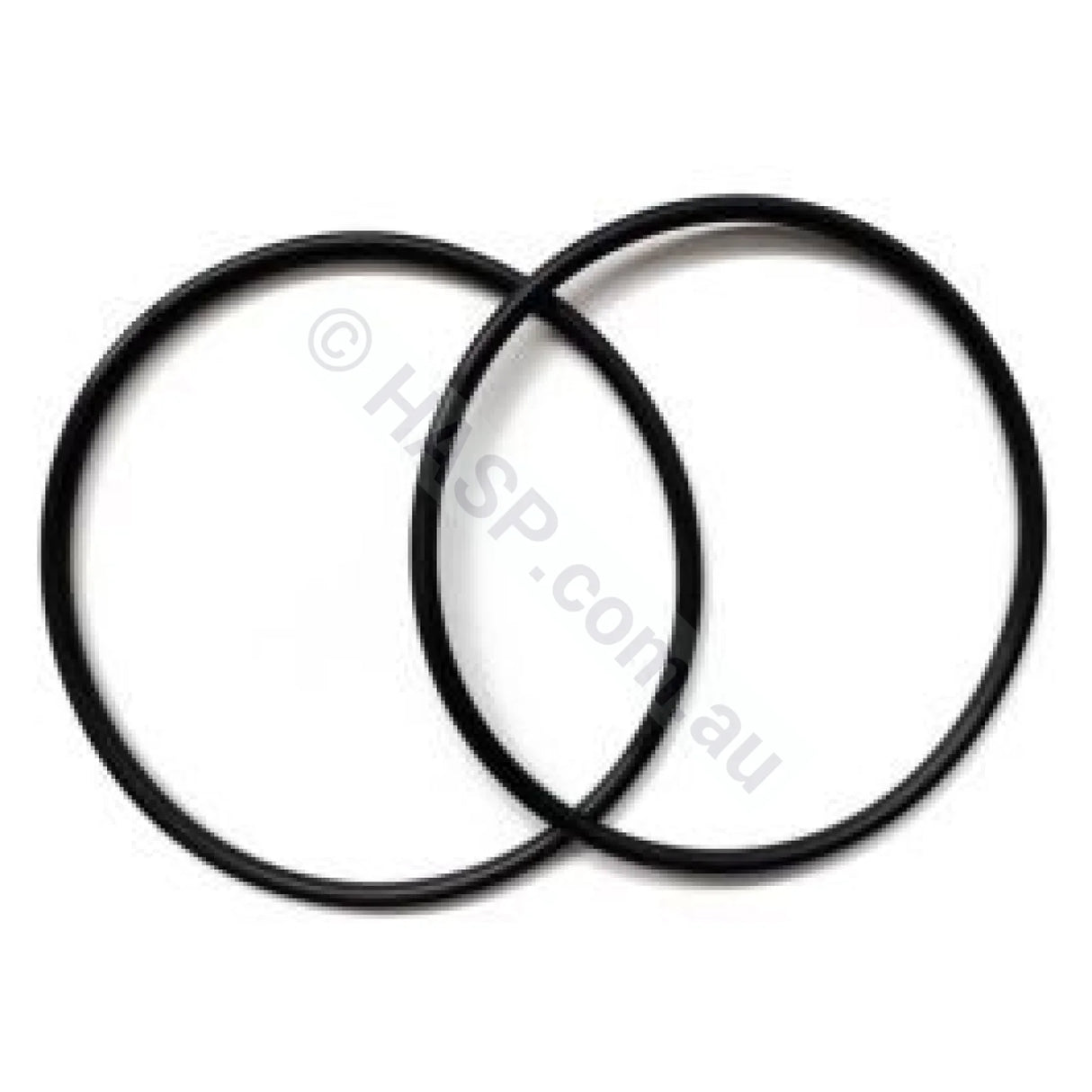 Zodiac TRi eXO iQ Hydroxinator iQ EL MagnaPool & Ei Xpert Electrode O-Ring - R0739000 (Set of 2) - Chlorinator Parts